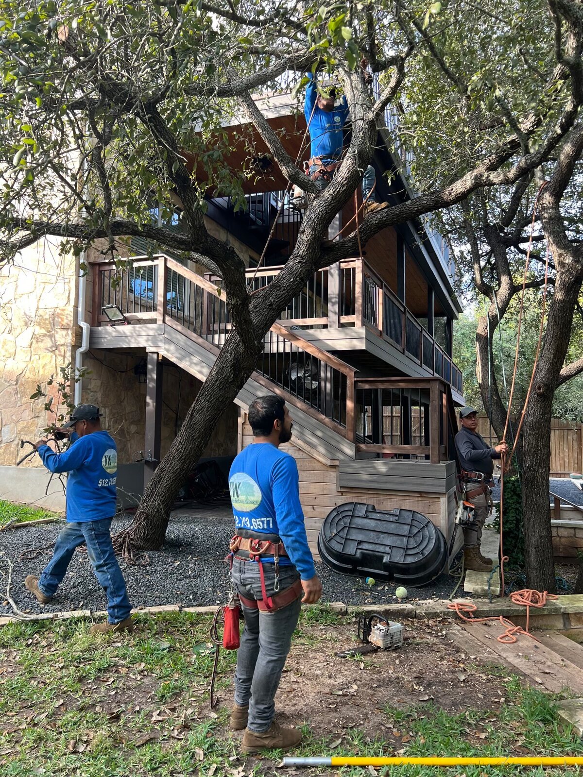 Tree Trimming & Pruning work in Central Texas