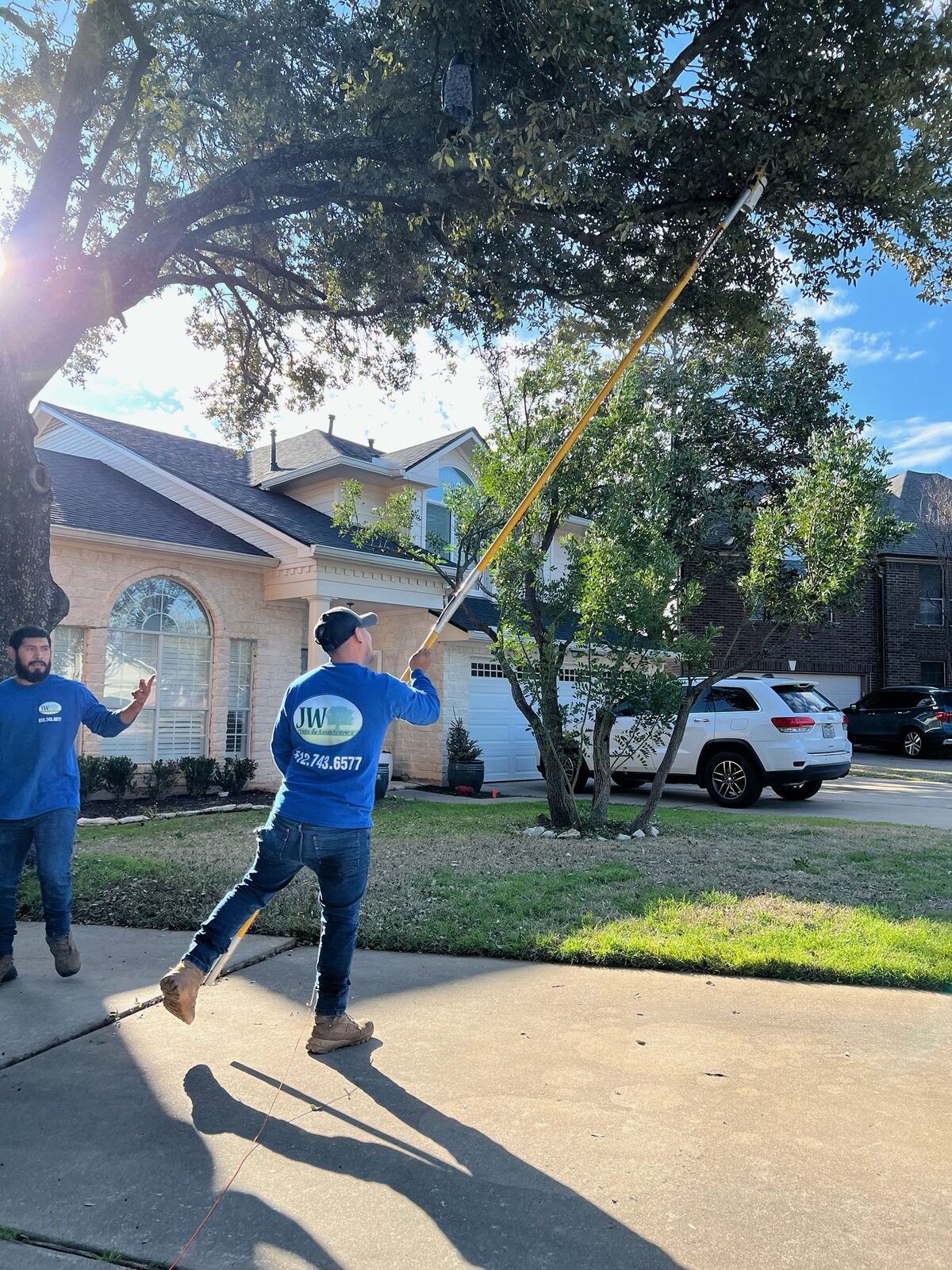 Worker using a long pole pruner to trim upper branches over a driveway while a coworker assists