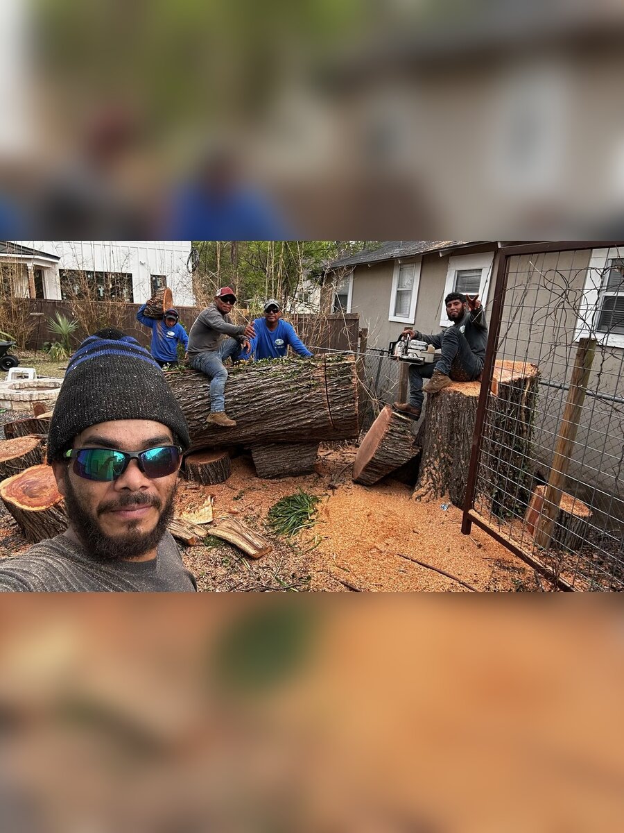 Crew gathered around a large felled tree trunk and fresh stump cut in a residential yard